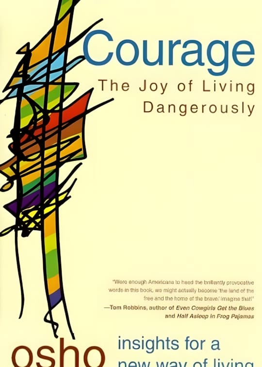 Ảnh bìa sách Dũng Cảm - Vui Sống Hiểm Nguy