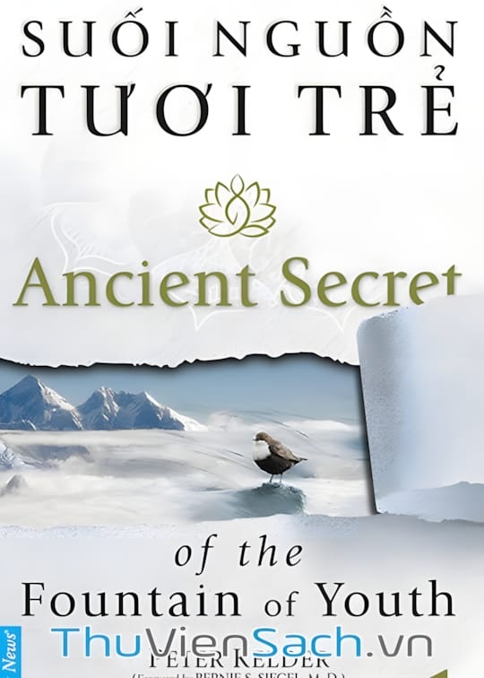 Ảnh bìa sách Suối Nguồn Tươi Trẻ