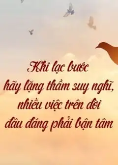 Khi Lạc Bước Hãy Lặng Thầm Suy Nghĩ, Nhiều Việc Trên Đời Đâu Đáng Phải Bận Tâm