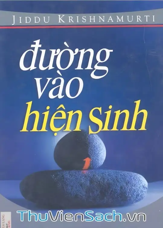 Ảnh bìa sách Đường Vào Hiện Sinh