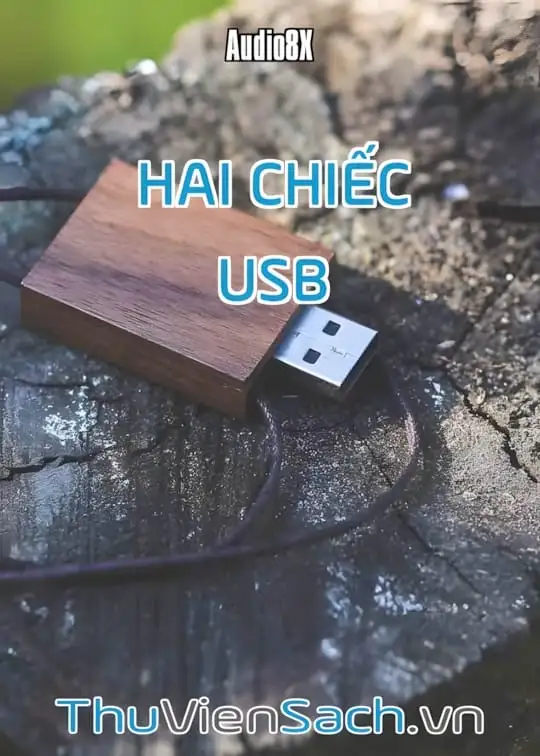 Ảnh bìa sách Hai Chiếc Usb