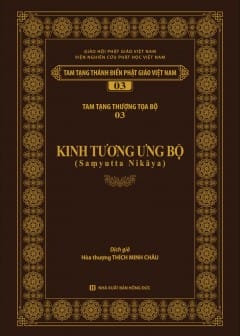 Kinh Tương Ưng Bộ - Tập 3
