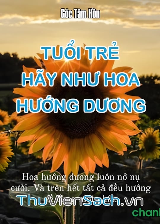 Ảnh bìa sách Tuổi Trẻ, Hãy Như Hoa Hướng Dương
