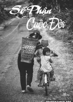 Số Phận Cuộc Đời