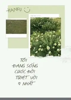 Tôi Đang Sống Cuộc Đời Tuyệt Vời Nhất