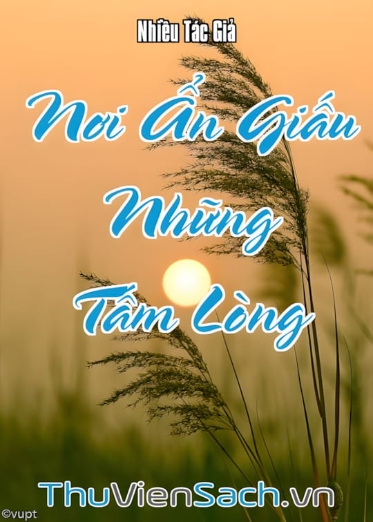 Ảnh bìa sách Nơi Ẩn Giấu Những Tấm Lòng