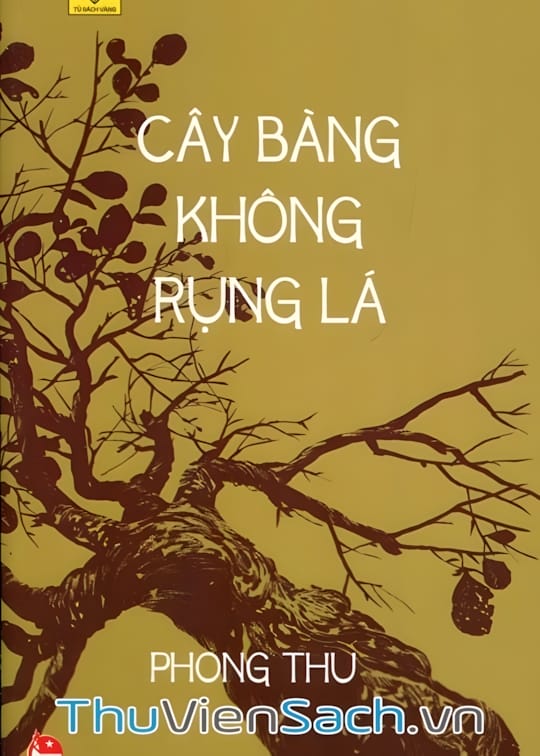 Ảnh bìa sách Cây Bàng Không Rụng Lá