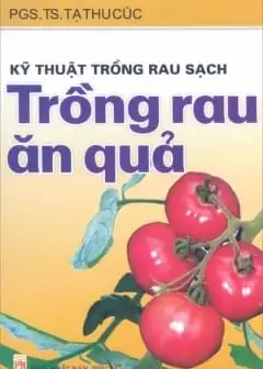 Kỹ Thuật Trồng Rau Ăn Trái